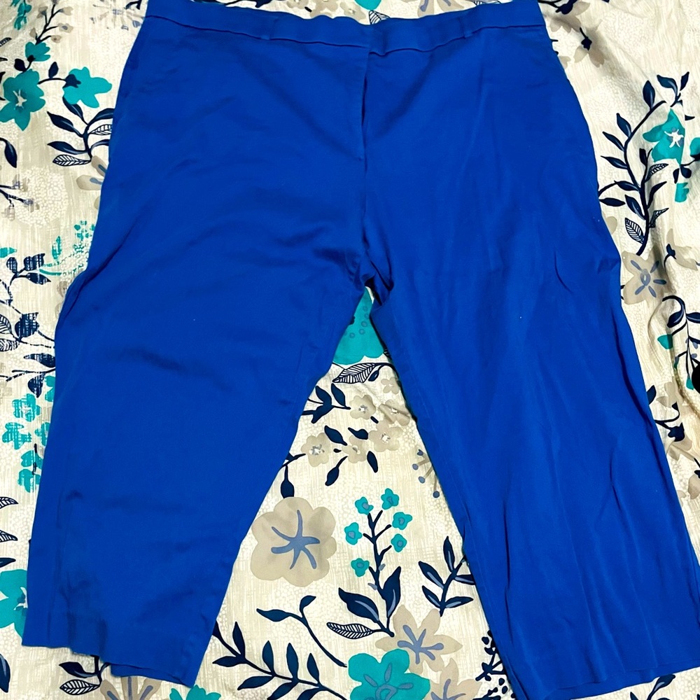 Royal blue dress capri pants